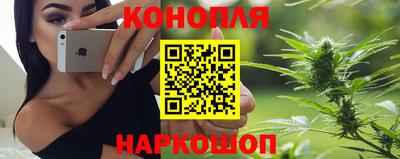 apvp Свободный