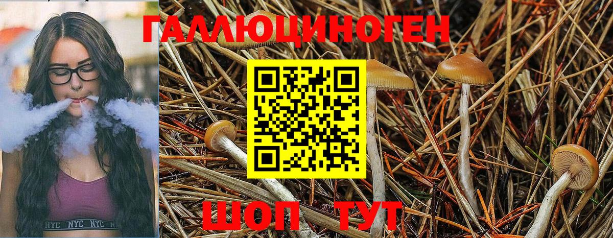 Прохладный  Галлюциногенные грибы Magic Shrooms  Вход с VPN 